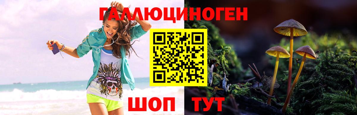 купить  сайты  Галлюциногенные грибы Psilocybine cubensis  Вход с VPN  Псилоцибиновые грибы Magic Shrooms  Балтийск 