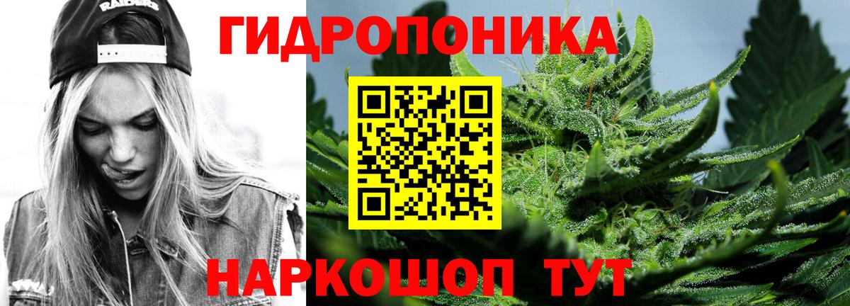 Бошки Шишки VHQ  Каннабис Bruce Banner  Вход с VPN  Балтийск  Бошки марихуана марихуана 