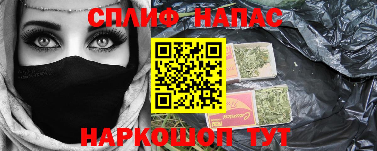 Конопля MAZAR Балтийск